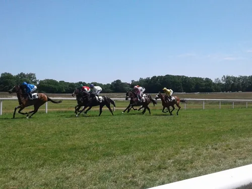 Hippisme : nos préférés pour ce dimanche 20 mars